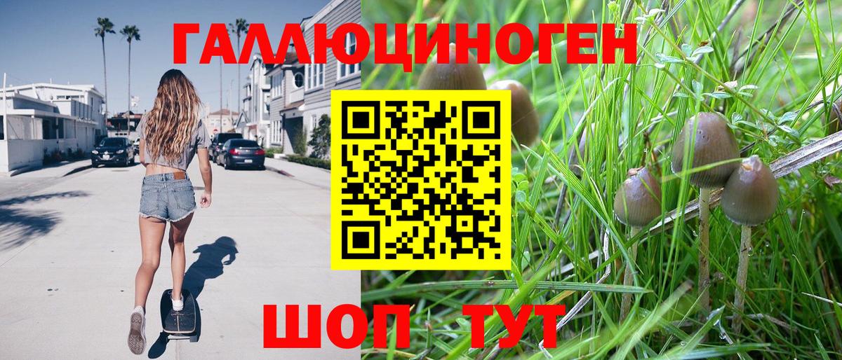 Галлюциногенные грибы Psilocybine cubensis Ноябрьск