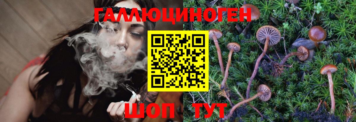 Псилоцибиновые грибы Psilocybine cubensis  Вход с VPN  купить наркотики цена  Ноябрьск 